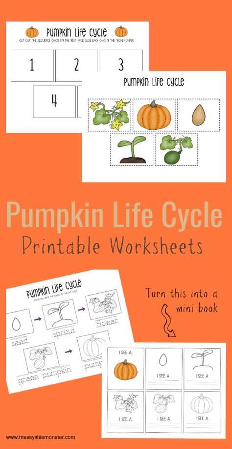 Use this set of pumpkin life cycle printable worksheets to teach young children where pumpkins come from. They would be great for a pumpkin project for preschoolers or Autumn activity for kids. Pumpkin Sequencing Preschool, Pumpkin Life Cycle Preschool Craft, Life Cycle Of Pumpkin Preschool, Pumpkin Life Cycle Preschool Free, Life Cycle Of A Pumpkin Preschool, Life Cycle Of A Pumpkin Free Printable, Pumpkin Life Cycle Preschool, Pumpkin Life Cycle Printable, Pumpkin Life Cycle Kindergarten