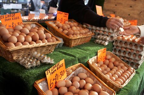 Farm eggs Fresh Egg Stand, Fresh Egg, Farmer Market, Egg Stand, Egg Crates, Farm Lifestyle, Farm Eggs, Farm Fresh Eggs, Fresh Eggs