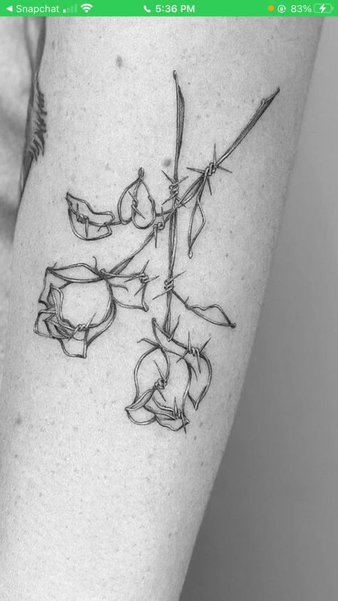 Barbed Wire Rose Tattoo, Barb Wire Flower Tattoo, Barbwire And Flowers Tattoo, Barb Wire And Flowers Tattoo, Flower With Barbed Wire Tattoo, Barb Wire Tattoo For Women Arm, Dainty Barbed Wire Tattoo, Barb Wire Tattoo, Barbed Wire Tattoo