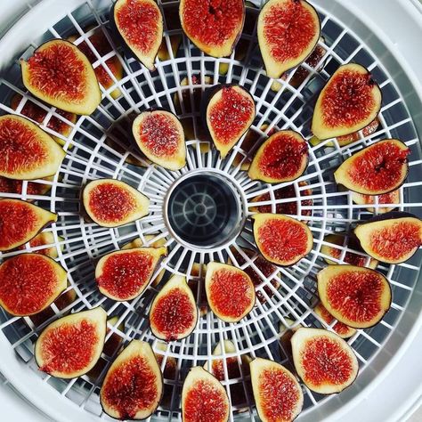 Dehydrated Figs In Air Fryer, Dehydrating Figs In Dehydrator, Dehydrate Figs In Air Fryer, Drying Figs In Dehydrator, Nesco Dehydrator Recipes, Dehydrated Figs Recipes, Dehydrating Figs, Dehydrate Figs, Dehydrated Figs