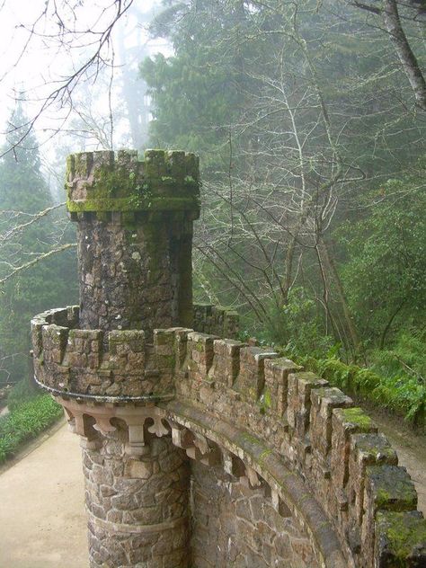 Castle Wall Rook Tower Chateau Medieval, Castles In Ireland, Famous Castles, Stone Bridge, Castle Wall, Chateau France, Castle Ruins, Beautiful Castles, Old Stone