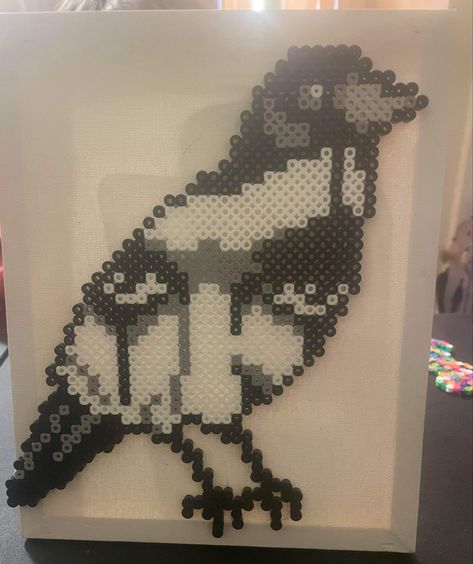 Made from perler beads on a 8x10 canvas Perler Templates, Beads Projects, Perler Bead Templates, Beads Ideas, Bead Ideas, The Crow, Perler Bead Art, Perler Bead Patterns, Bead Patterns