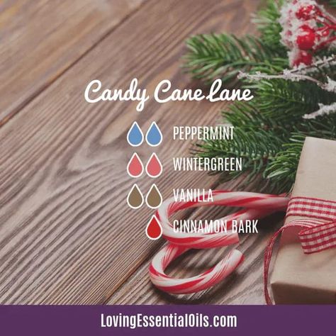 Wintergreen essential oil emotional benefits by Loving Essential Oils | Candy Cane blend with peppermint, cinnamon and vanilla Christmas Diffuser Blends, Cassia Essential Oil, Wintergreen Essential Oil, Essential Oil Diffuser Blends Recipes, Yl Essential Oils, Oil Diffuser Recipes, Essential Oil Diffuser Recipes, Essential Oil Mixes, Essential Oil Blends Recipes