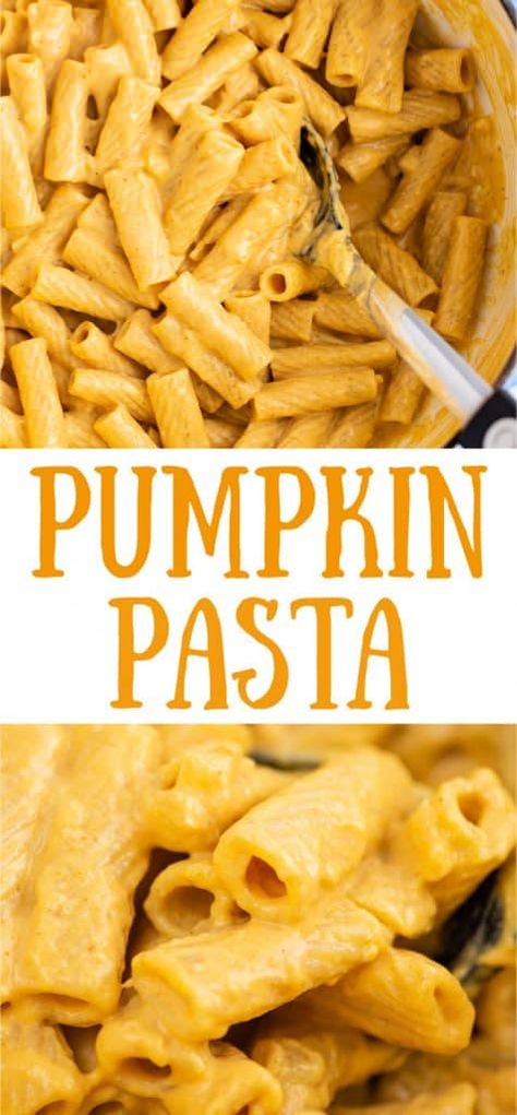 Pumpkin Pasta Sauce Recipe, Pumpkin Alfredo Sauce, Fresh Pumpkin Recipes, Creamy Pumpkin Pasta, Autumn Pasta Recipes, Pumpkin Pasta Sauce, Alfredo Sauce Recipe Easy, Fall Pasta, Pasta Sauce Recipe