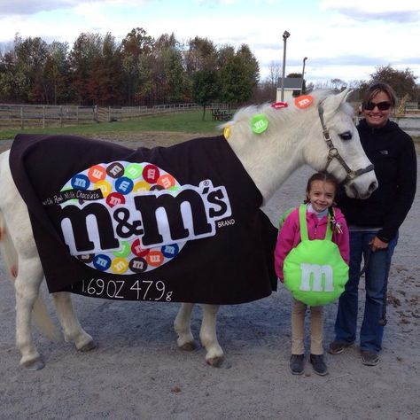 Pony and rider costume we made for last years Halloween show...what to be this year?!? Horse Show Costume Ideas, Horse And Rider Costumes Halloween Ideas, Horse And Rider Halloween Costumes, Halloween Costumes For You And Your Horse, Horse And Rider Costumes Diy Easy, Pony Costumes Horses, Costume Ideas For Horse And Rider, Costume Ideas For Horses And Rider, Horse Costumes For Horses