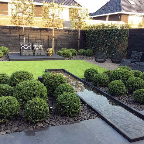 Ilex Crenata, Modern Garden Landscaping, Garden Water Feature, French Country Garden, Areas Verdes, Garden Design Layout, Modern Garden Design, Have Inspiration, Contemporary Garden