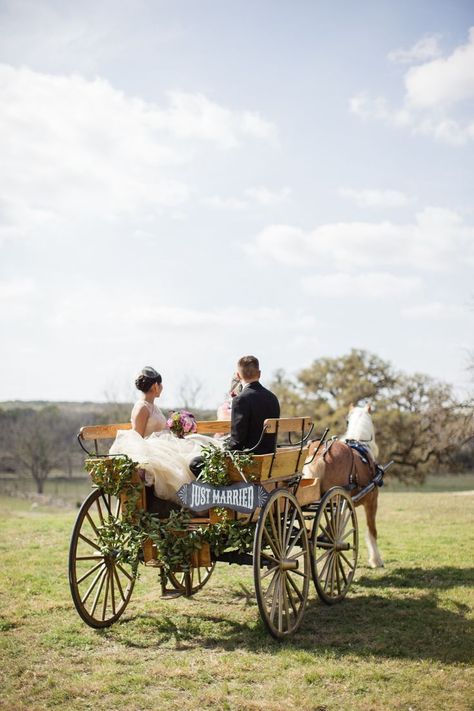 Horse And Carriage Wedding, Wedding Getaway, Equestrian Wedding, Horse Drawn Carriage, Wedding Carriage, Horse Wedding, Wedding Transportation, Country Style Wedding, Horse And Buggy