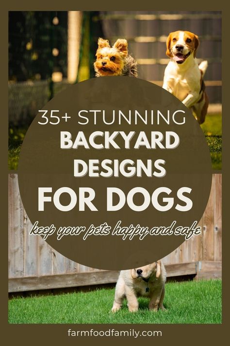 35+ Backyard Landscaping Ideas for Dogs 58 Dog Friendly Sloped Backyard, At Home Dog Park, Dog Backyard Ideas Landscaping, Backyard Ideas With Dogs, Zero Scape Landscaping Backyard For Dogs, Dog Proof Backyard Landscaping, Backyard Dog Park, Dog Garden Ideas, Dog Backyard Ideas