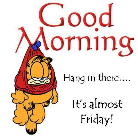 Good Morning Hang In There Its almost Friday morning good morning morning quotes good morning quotes good morning greetings Funny Thursday Quotes, Happy Tuesday Pictures, Thursday Greetings, Thursday Humor, Happy Thursday Quotes, Happy Tuesday Quotes, Good Morning Thursday, Highly Favored, Good Morning Tuesday