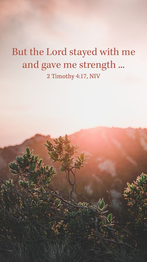 Gods Comfort Scriptures, When The Time Is Right I The Lord, Phone Affirmations, God Give Me Strength Quotes, Strength Scripture Quotes, Strength Aesthetic, Relying On God, Jesus Verses, Gods Grace Quotes