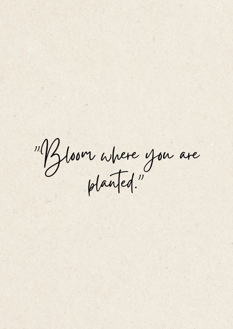 Bloom Where You Are Planted Tattoo, Bloom Where You Are Planted Quote, Planted Tattoo, Beige Icons, Plants Quotes, Beige Icons:), Plant Tattoo, Bloom Where You Are Planted, Cosmetics Bag