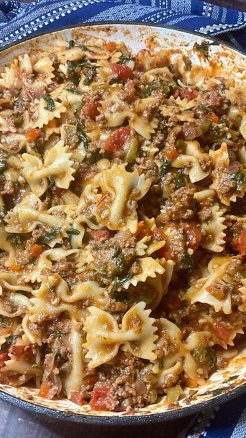 Bow Tie Pasta And Ground Beef Recipes, Bow Tie Pasta With Ground Beef, Ground Beef And Bow Tie Pasta, Bowtie Pasta Recipes Beef, Bow Tie Pasta Recipes Ground Beef, Pasta With Hamburger, Bow Tie Pasta Recipes, Ground Beef Spinach, Carman Wilken