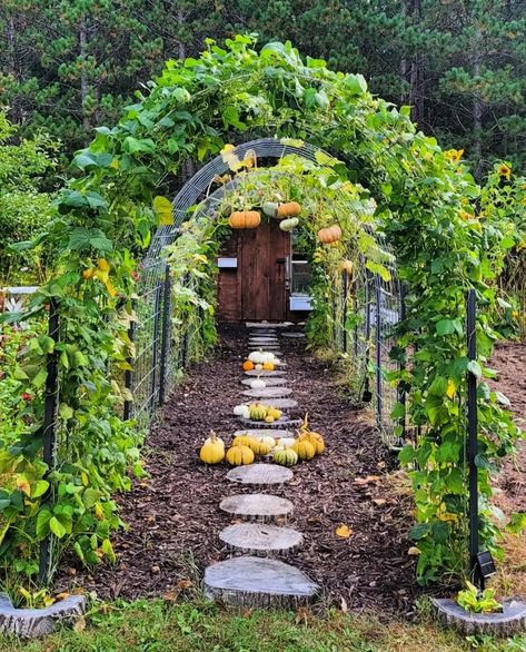 Pumpkin Garden, Potager Garden, Garden Arches, Garden Aesthetic, Edible Landscaping, Veg Garden, Have Inspiration, Vegetable Garden Design, Design Garden