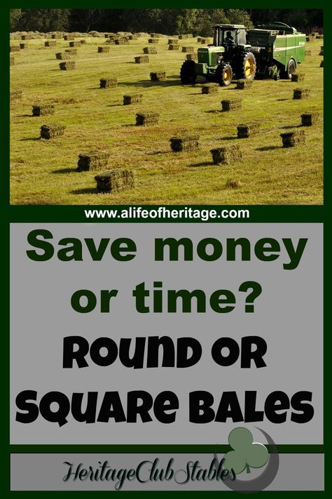 Explore pros and cons of feeding square bales verses round bales. Think through the different options to see what's best for you! Hay Bale Storage Ideas, Round Bale Storage, Round Bale Hay Feeder, Baling Hay, Round Bale Feeder, Hay Balers, Farm Inspiration, Hay Storage, Hobby Farming