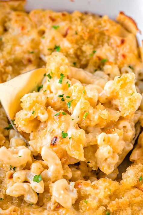 Velveeta Mac and Cheese Recipe - Mom On Timeout