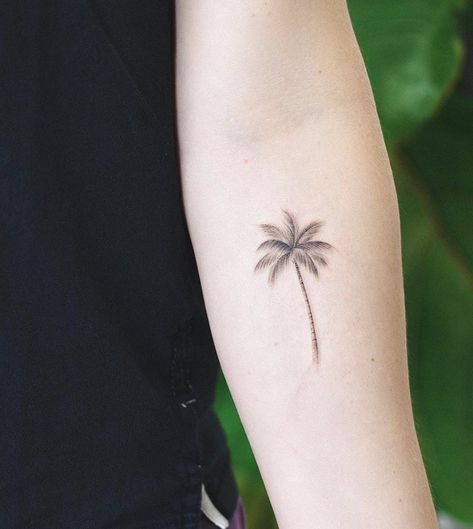 Palm Tree Sketch Tattoo, Feminine Palm Tree Tattoo, Minimalist Tropical Tattoo, Palm Tree Fine Line Tattoo, Dainty Palm Tree Tattoo, Fine Line Palm Tree Tattoo, Tiny Palm Tree Tattoo, Minimalist Palm Tree Tattoo, Palm Tree Tattoo Arm