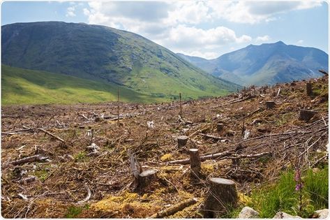 Deforestation Importance Of Trees, Baltic Countries, Renewable Sources, Renewable Sources Of Energy, Frozen Lake, Amazon Rainforest, Forest Fire, Dark Ages, University Of California