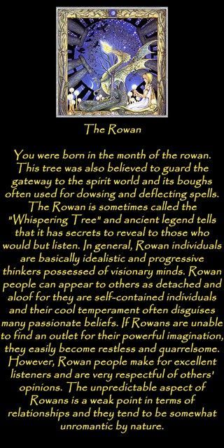 Rowan Meaning, Rowan Tree Tattoo, Rowan Name, Astrology Mythology, Scottish Witchcraft, Celtic Tree Calendar, Celtic Tree Astrology, Tree Meanings, Celtic Paganism