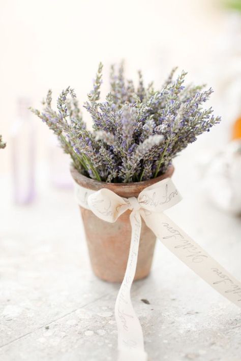 beautiful lavender wedding inspiration wedding favors Lavender Centerpieces, Lavender Wedding Bouquet, Potted Lavender, French Wedding Style, Dreamy Whites, Wedding Themes Fall, 강아지 그림, Lavender Farm, Lovely Lavender