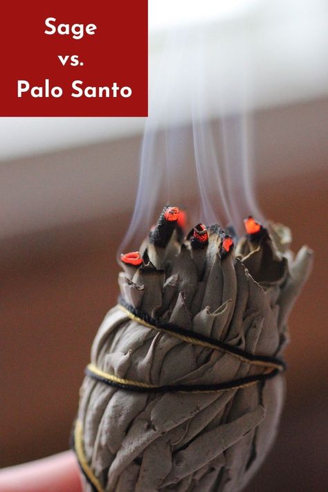 All About Palo Santo - Benefits and How to Use it - 40 Aprons Palo Santo Essential Oil, House Cleansing, Feuille Eucalyptus, Karma Yoga, Offering Bowls, Wellness Trends, Crassula Ovata, Plant Therapy, Winter Skin Care