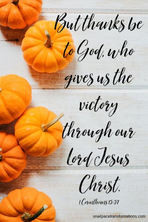 Share The Spirit of Thanksgiving With These 15 Bible Verses Thankful Scripture, Bible Phrases, Thanksgiving Verses, Thanksgiving Scripture, Thanksgiving Bible Verses, Fall Bible Verses, Happy Thanksgiving Pictures, Religious Poems, Thanksgiving History