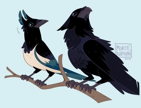 Crows Drawing, Mythical Animal, Fantasy Creatures Art, Mythical Creatures Art, Creature Concept Art, Bird Drawings, Creature Concept, Cute Animal Drawings, Magpie