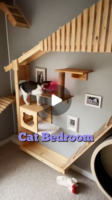 @heyjajadesigns on Instagram: "Cat Bedroom #amazon #amazonfinds #cat #catsofinstagram #diy #bedroommakeover" Cat Bedroom Ideas, Cat Room Ideas Small Spaces, Cat Playroom, Room Ideas Small Spaces, Cat Room Ideas, Cat Area, Cat Bedroom, Cat Houses, Cat Things