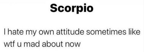 Scorpio Memes Funny So True, Scorpio Meme, Best Zodiac Sign, Zodiac Funny, Zodiac Memes, Scorpio Zodiac, Scorpion, Zodiac Sign, Zodiac Signs