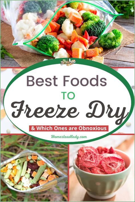 Freeze Dried Beef Stew, Best Things To Freeze Dry, Freeze Dried Gift Ideas, Freeze Dryer Snacks, Freeze Dried Christmas Gifts, Freeze Dried Food Recipes, Freeze Drying Food Recipes, Freez Dryer, Foods To Freeze