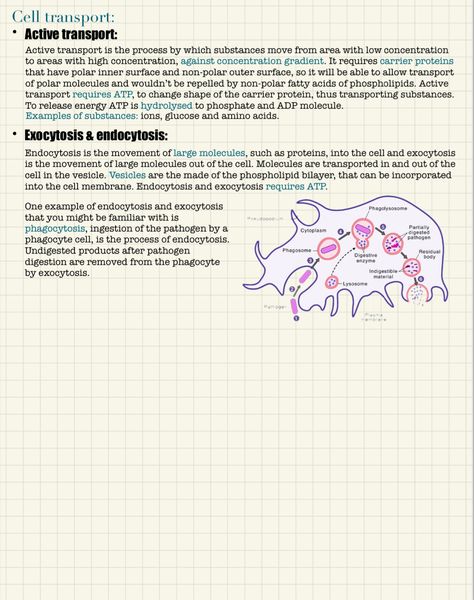 Diffusion Notes, Diffusion Osmosis, Protein Biology, Notes Biology, Doctor Of Osteopathic Medicine, Bio Notes, Cell Transport, States Of Matter Worksheet, Biology Revision