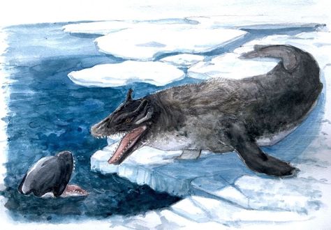 Cetaceal | Speculative Evolution Wiki | Fandom Sea Wolf, Speculative Evolution, Dnd Campaign, Fish Artwork, Beast Creature, Fiction Idea, Curious Creatures, Therapeutic Massage, Extinct Animals