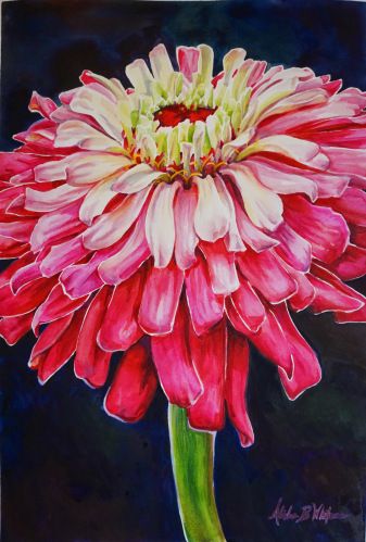 #WorldWatercolorGroup - Watercolor painting by Alisha B. Whitman - #doodlewash Zinnia Watercolor, Pink Flower Painting, Zinnia Flowers, Flower Art Painting, Print Pink, Pastel Painting, Abstract Flowers, Painting Projects, Pink Flower