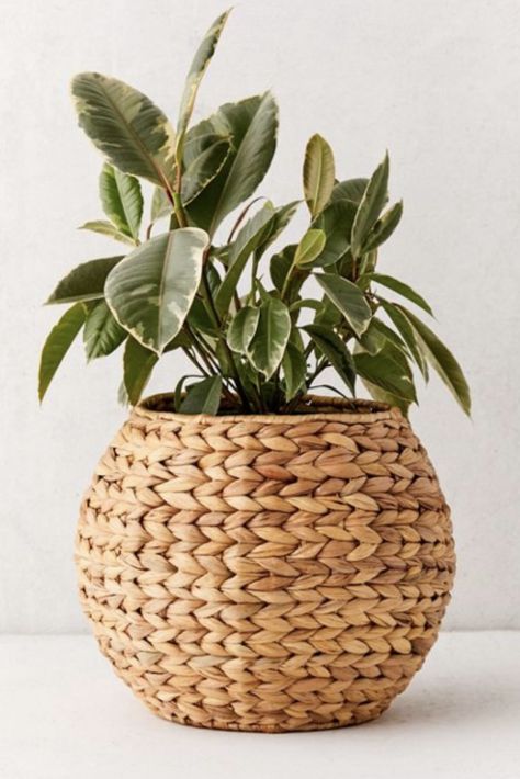 Bringing Texture to the Kitchen with Rattan Stools - KristyWicks.com Ruangan Studio, Indoor Plant Shelves, Rattan Stool, Geometric Planter, Woven Decor, Estilo Tropical, Handmade Planter, Sophisticated Decor, Unique Planter