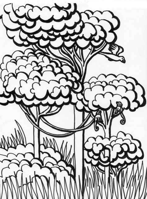 Kid Drawing A Forest Coloring Page : Coloring Sky Trees Coloring Pages, Rainforest Pictures, Jungle Coloring Pages, Forest Coloring Pages, Forest Coloring Book, Forest Coloring, Rainforest Animals, Rainbow Canvas, Tree Coloring Page