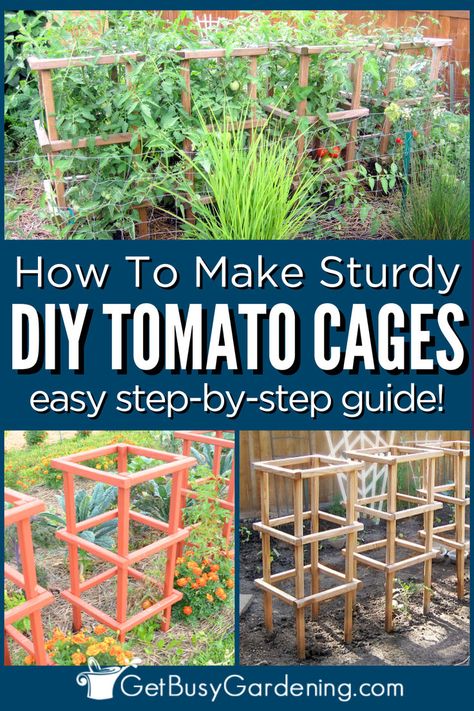 boxed off tomato cages creating a vertical structure for tomato plants Cottage Garden Plan, Tomato Support, Vertical Vegetable Gardens, Plant Cages, Garden Hacks Diy, Tomato Trellis, Diy Garden Trellis, Diy Trellis, Vertical Garden Diy