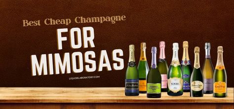 10 Best Cheap Champagne Brands For Mimosas (2023 Updated) Champagne For Mimosa Best, Champagne For Mimosa, Best Champagne For Mimosas, Sweet Champagne Brands, Types Of Champagne, Cheap Champagne, Champagne Brands, Best Cocktail Bars, Liquor Shop