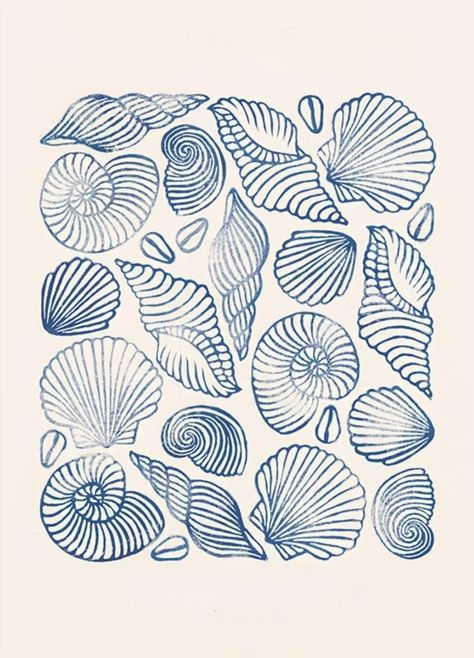 Sea Oats Painting, Jellyfish Design Illustration, Seashell Graphic Design, Drawing Of Shells, Seashell Art Drawing, Printmaking Art Ideas, White Board Aesthetic, Sea Creatures Sketch, Coastal Drawings