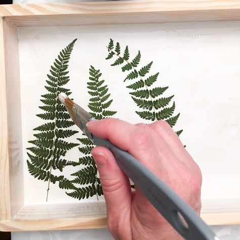 pressed fern and resin plaque Pressed Fern Art, Resin Plaque, Fern Wall, Fern Wall Art, Pressed Fern, Diy Wall Painting, Pressed Flower Art, Diy Crafts Hacks, Crafts Hacks