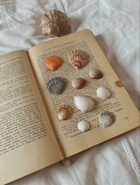 #summer #verano #seashells #aesthetic #aesthetic #books #reading #classic #read Summer Objects Aesthetic, Summer August Aesthetic, Sea Aesthetic Pictures, Italian Book Aesthetic, Books Beach Aesthetic, Bookish Summer Aesthetic, Book Aesthetic Summer, Summer Aesthetic Books, Summer Aesthetic Reading