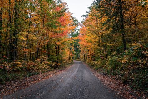 Nature Screensavers, Desktop Wallpaper Fall, All Too Well, Taylor Swift Wallpaper, Warm Autumn, All Is Well, Autumn Aesthetic, Fall Wallpaper, Laptop Wallpaper