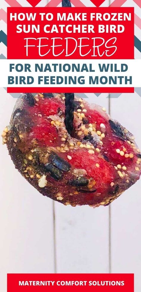 Frozen Bird Feeder, Winter Bird Feeders, Winter Activities For Toddlers, Bird Treats, Activity For Toddlers, Wild Bird Feeders, Winter Activity, Bird Feeding, Winter Treats