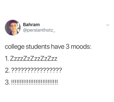 College Shenanigans, College Student Humor, University Memes, University Quote, Existential Despair, College Funny, Funny College, Studying Memes, College Memes