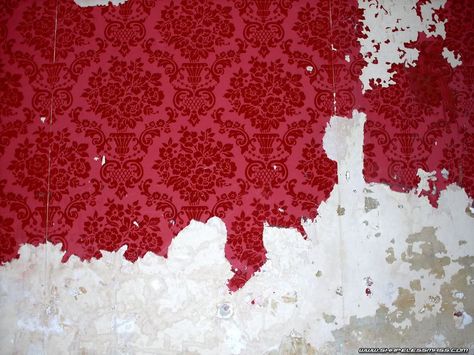 Ripped Wallpaper, Torn Wallpaper, Pride 2024, Female Rage, Victorian Paintings, Haunted Dollhouse, Web Gallery, Princess And The Pea, Red Paper