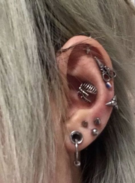 Ear Setup, Small Stretched Ears, Ear Peircings, Cool Ear Piercings, Pretty Ear Piercings, Cool Piercings, 3d Tattoos, Cute Piercings, Types Of Piercings