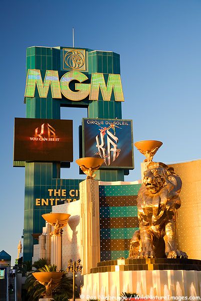 Aqui nos hospedamos cuando estuvimos en Vegas!! MGM Grand Hotel & Casino found on the Las Vegas strip, Las Vegas Nevada Strip Las Vegas, Vegas Photos, Mgm Las Vegas, Las Vagas, Las Vegas Vacation, Las Vegas Photos, Hotel Photos, Mgm Grand, Vegas Vacation