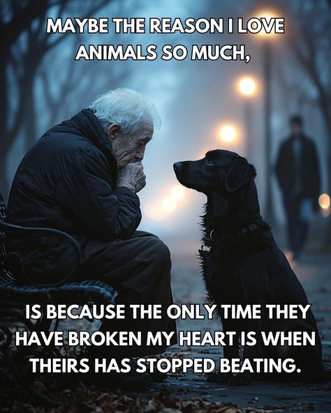 God's Creatures: A Beautiful Moment Happy Dog Quotes, Old Dog Quotes, Dog Heaven Quotes, Dog Sayings, Dog Lover Quotes, Dog Quotes Love, Dog Heaven, Heaven Quotes, Dog Training Techniques