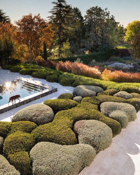 Garden Hedges, Spanish Garden, Landscape Architecture Design, Garden Landscape Design, Plant Design, Garden Spaces, Architectural Digest, Modern Garden, Japanese Garden