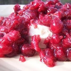 Cranberry Dip - So simple to make and excellent combination of flavors. I served this with mini pretzels but people were grabbing crackers because they said they wanted to be able to scoop up as much as possible!! The color of this dip is very festive and would make a nice addition to any snack or appetizer table at your next holiday party