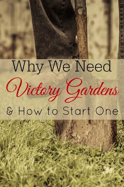 1940s Garden, 1940s Housewife, Victory Gardens, Way To Save Money, Retro Garden, Victory Garden, Retro Housewife, Organic Vegetable Garden, Starting A Garden