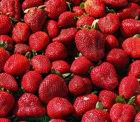 Strawberries from Ponchatoula, LA. Louisiana strawberries are now in season. Mmmmmmm... Selective Color Photography, Color Splash Photography, Splash Photography, Grey Pictures, Black Background Images, Photo Stands, Aesthetic Photography Nature, Live Colorfully, Beautiful Photography